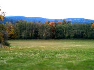 field9